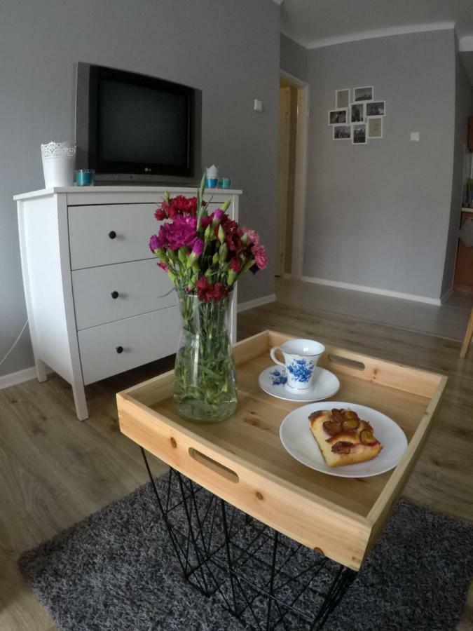 Mieszkanie W Centrum Sandoměř Exteriér fotografie