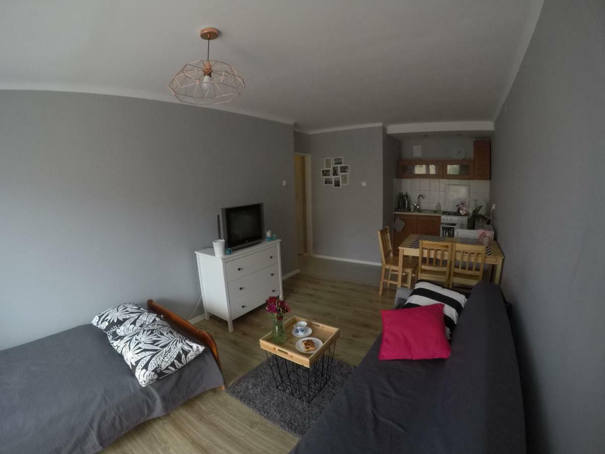Mieszkanie W Centrum Sandoměř Exteriér fotografie